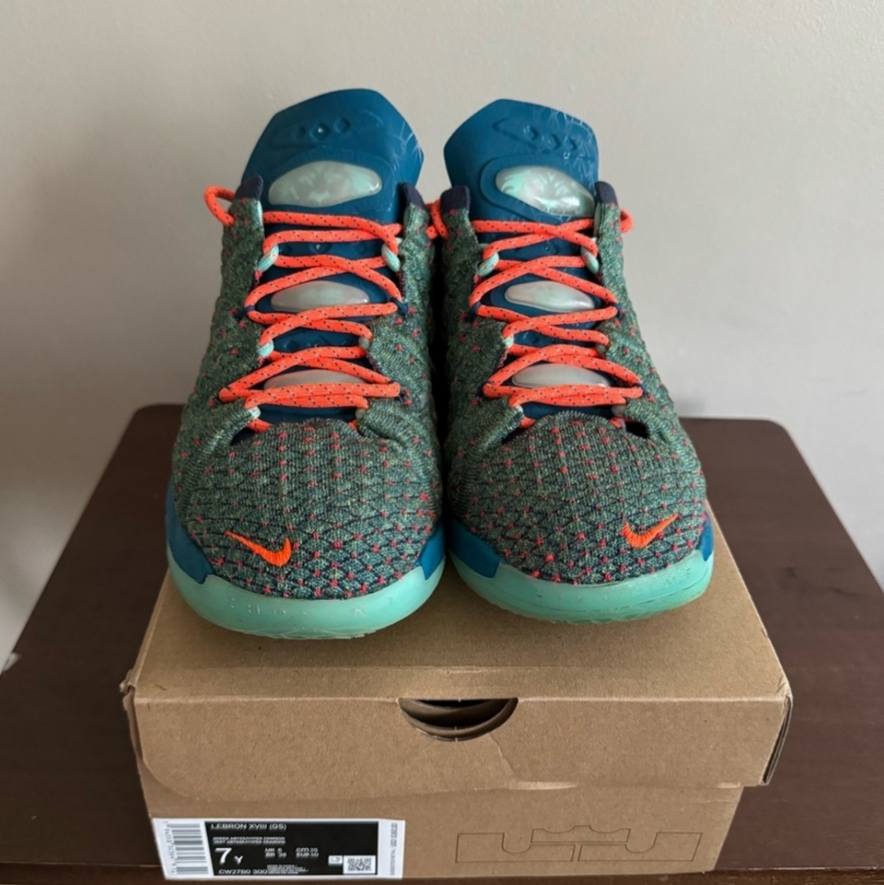 Nike LeBron
